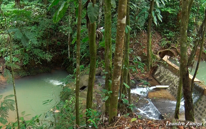 AGUA1